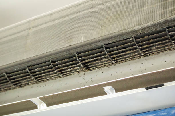 Best HVAC Duct Inspection Services  in Lawtey, FL